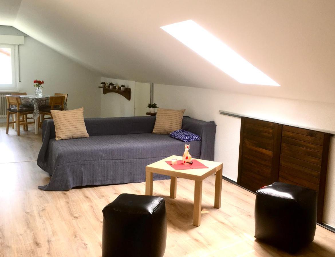 Appartement Swiss View à Hohentengen am Hochrhein Extérieur photo