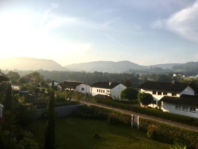 Appartement Swiss View à Hohentengen am Hochrhein Extérieur photo